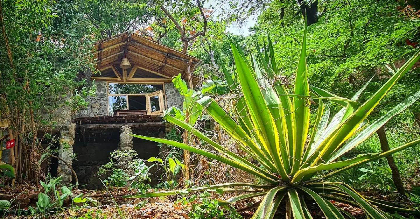 Butterfly Space- A Non-Profit Eco-Lodge Nkhata Bay 외부 사진