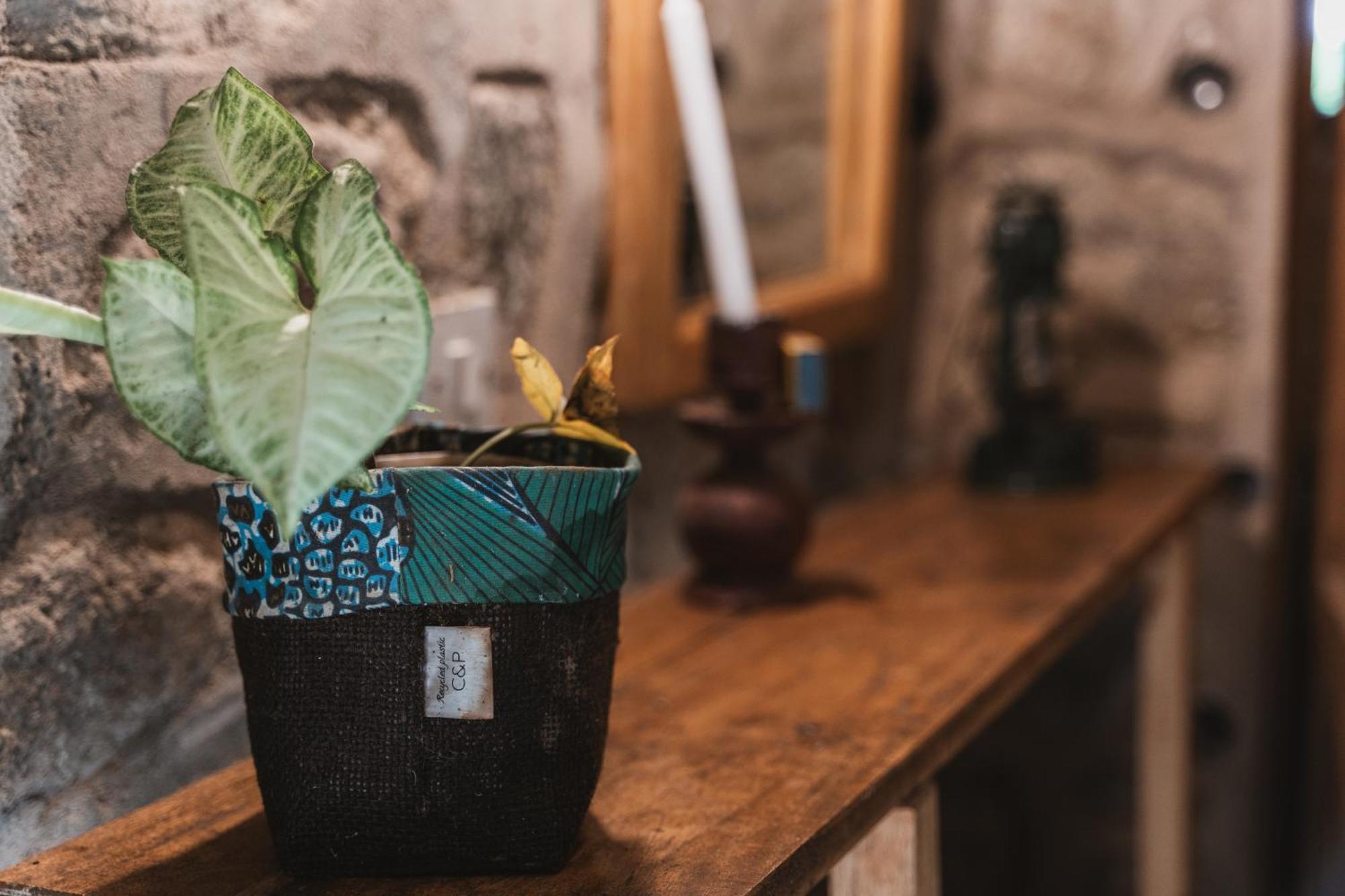 Butterfly Space- A Non-Profit Eco-Lodge Nkhata Bay 외부 사진