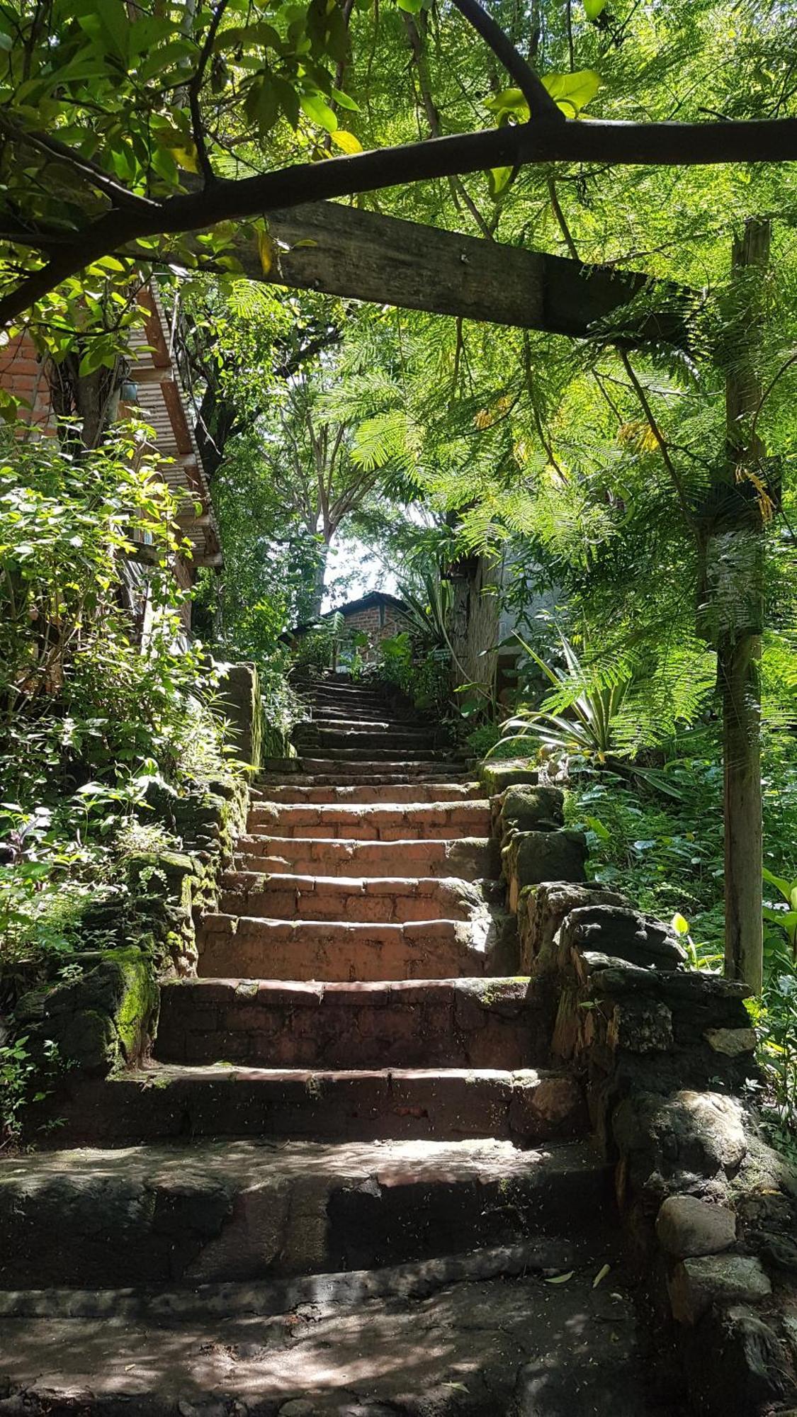 Butterfly Space- A Non-Profit Eco-Lodge Nkhata Bay 외부 사진