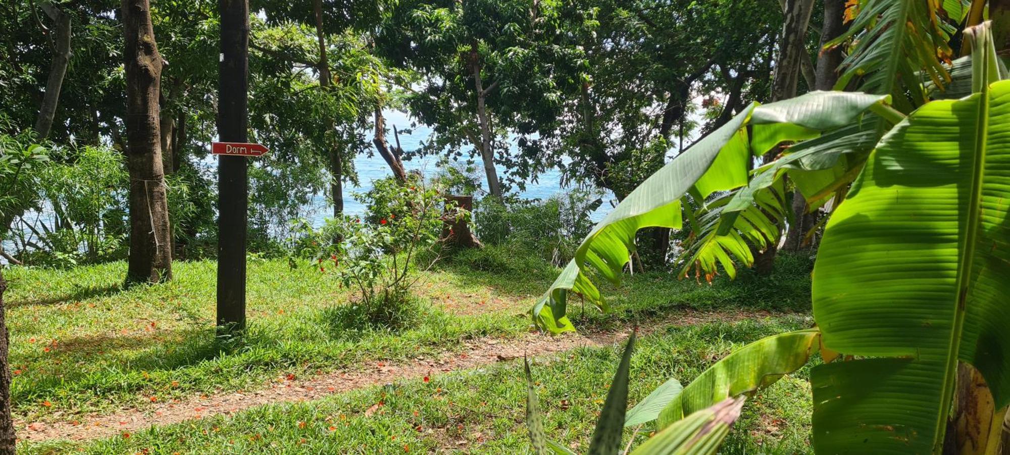 Butterfly Space- A Non-Profit Eco-Lodge Nkhata Bay 외부 사진