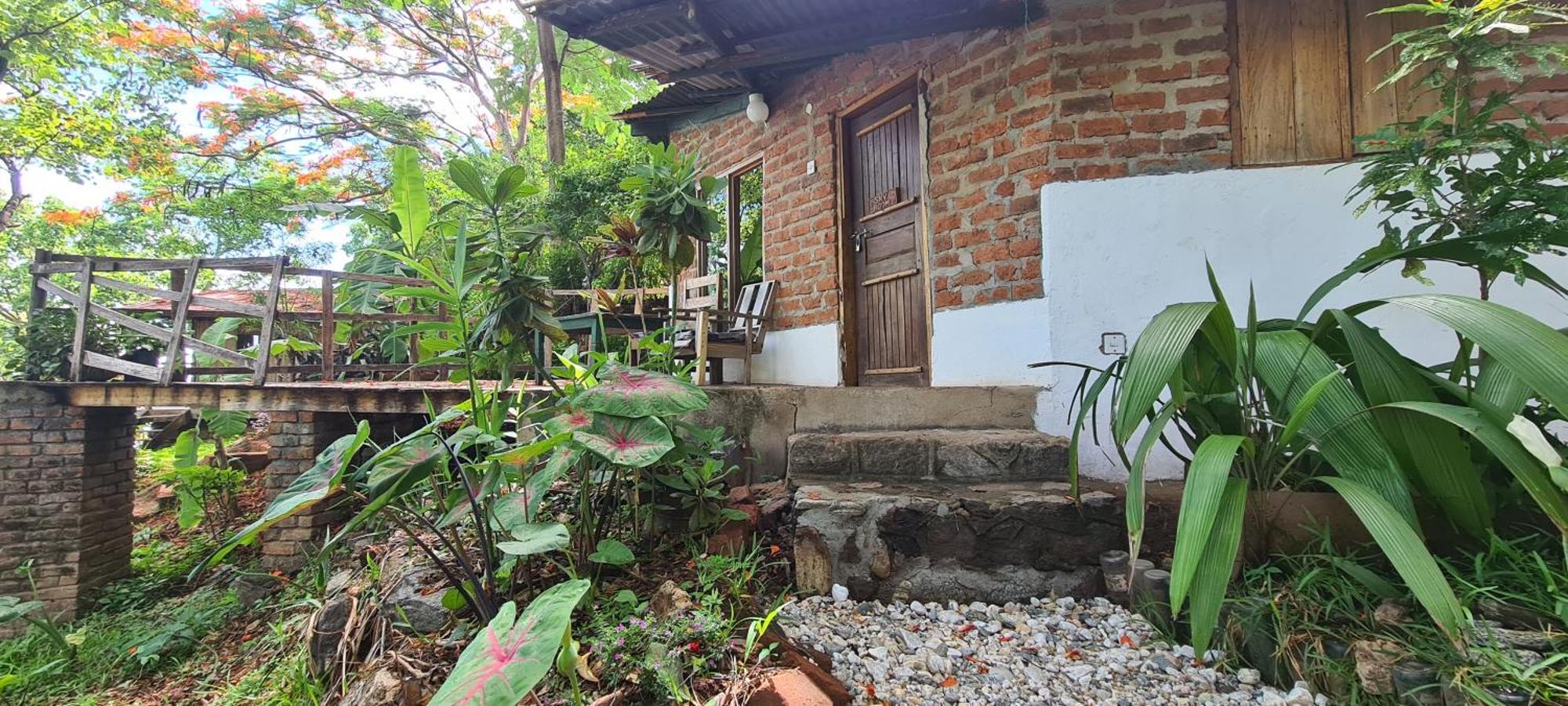 Butterfly Space- A Non-Profit Eco-Lodge Nkhata Bay 외부 사진
