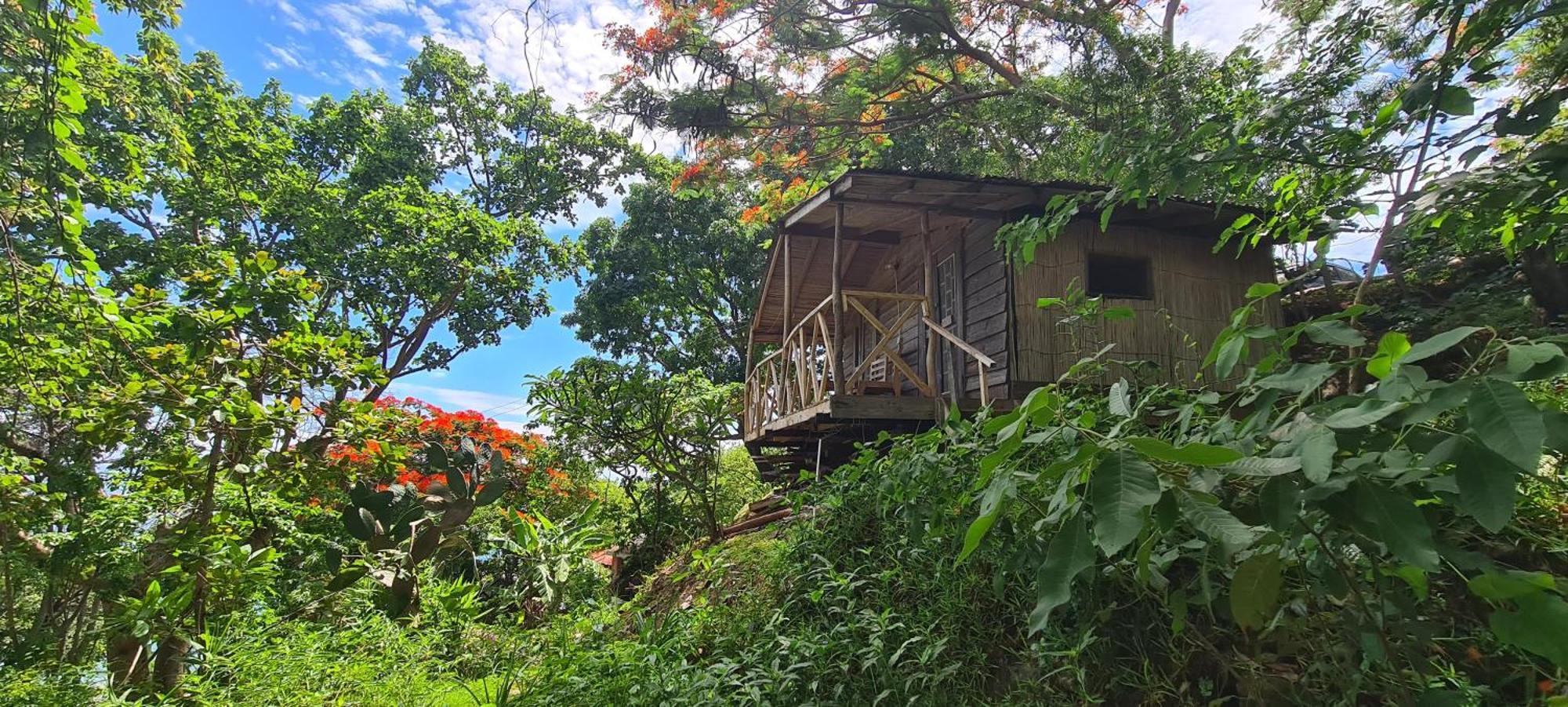 Butterfly Space- A Non-Profit Eco-Lodge Nkhata Bay 외부 사진