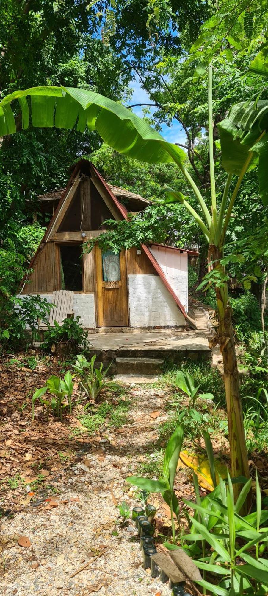 Butterfly Space- A Non-Profit Eco-Lodge Nkhata Bay 외부 사진