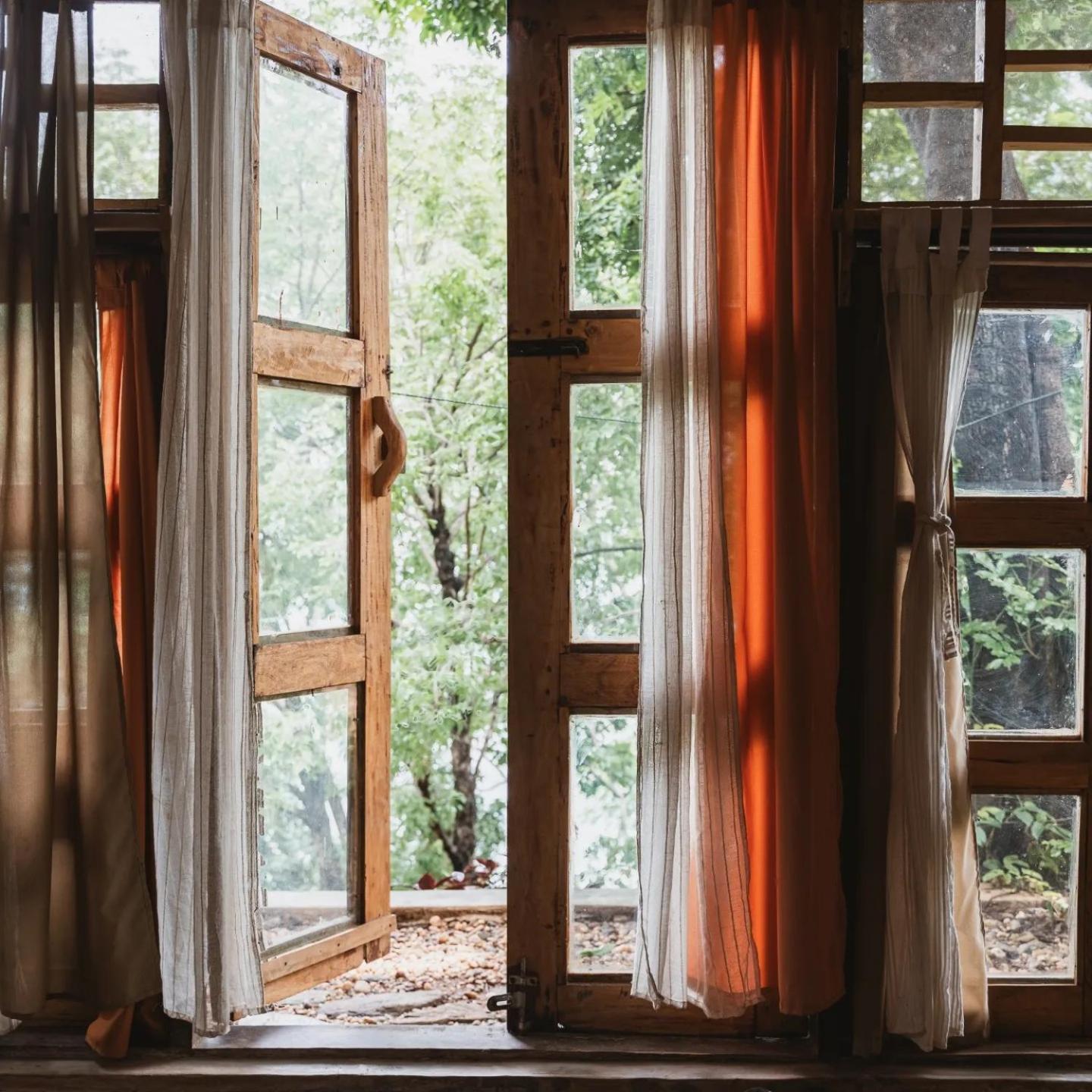 Butterfly Space- A Non-Profit Eco-Lodge Nkhata Bay 외부 사진
